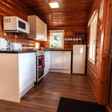 3 Bedroom Log Cabin In Snowdonia Nr Mtb Trails Tanygrisiau Extérieur photo